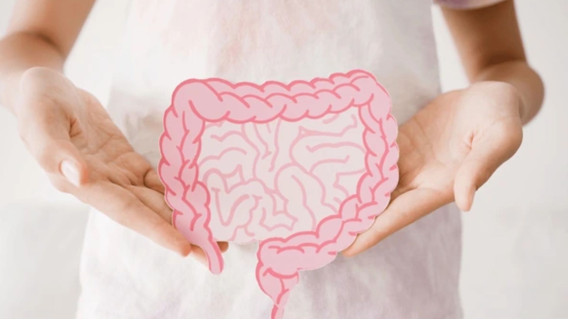 Gut health and microbiome illustration